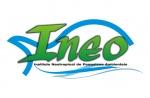 Logo Icon